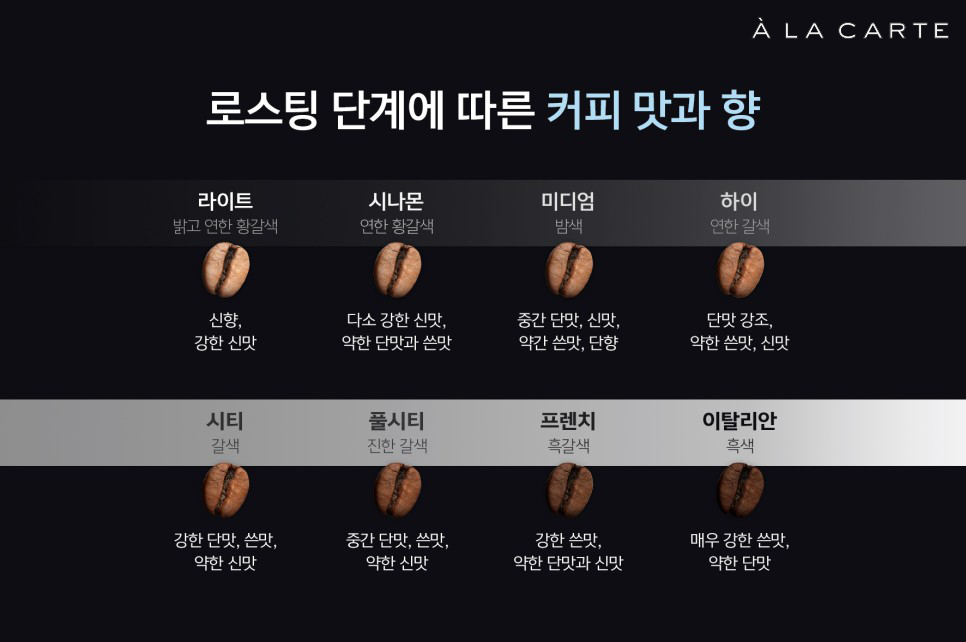 텀블러와 미디엄: 젊은 층과 글로벌 독자 타깃 블로깅 플랫폼