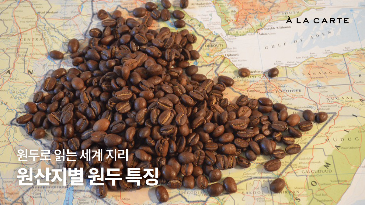 커피 원산지별 특징, 나라별 원두커피 종류 - 알라카르테 블로그
