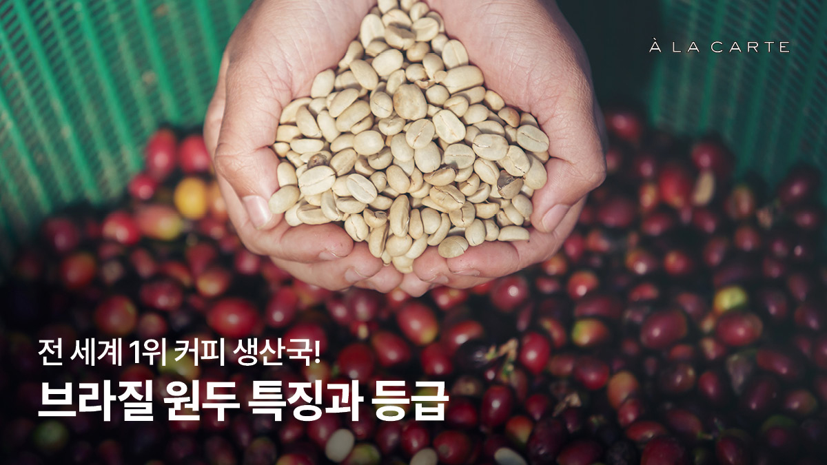 브라질 원두 특징 및 브라질 커피 종류, 원두 추천 - 알라카르테 블로그